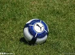 腊戌新世纪,篮球赛盛大,启幕,bwin体育平台,bwin体育官方网站,bwin体育登录入口,bwin体育app下载