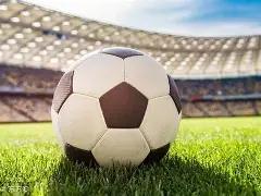 杨颖现身上,海网红活动,昔日人气褪,bwin体育平台,bwin体育官方网站,bwin体育登录入口,bwin体育app下载