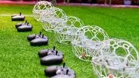 肖国伟：企业创新动力与体育精神高度契合