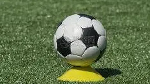 bwin体育 产品 083733 v5o