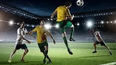 体育类毕业生就业前景分析